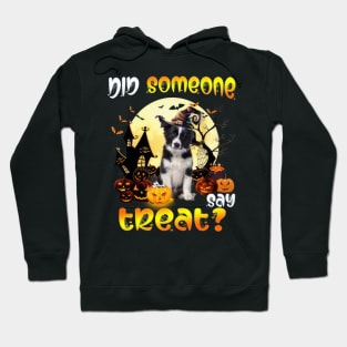 Border Collie Did Someone Say Treat Happy Halloween Hoodie